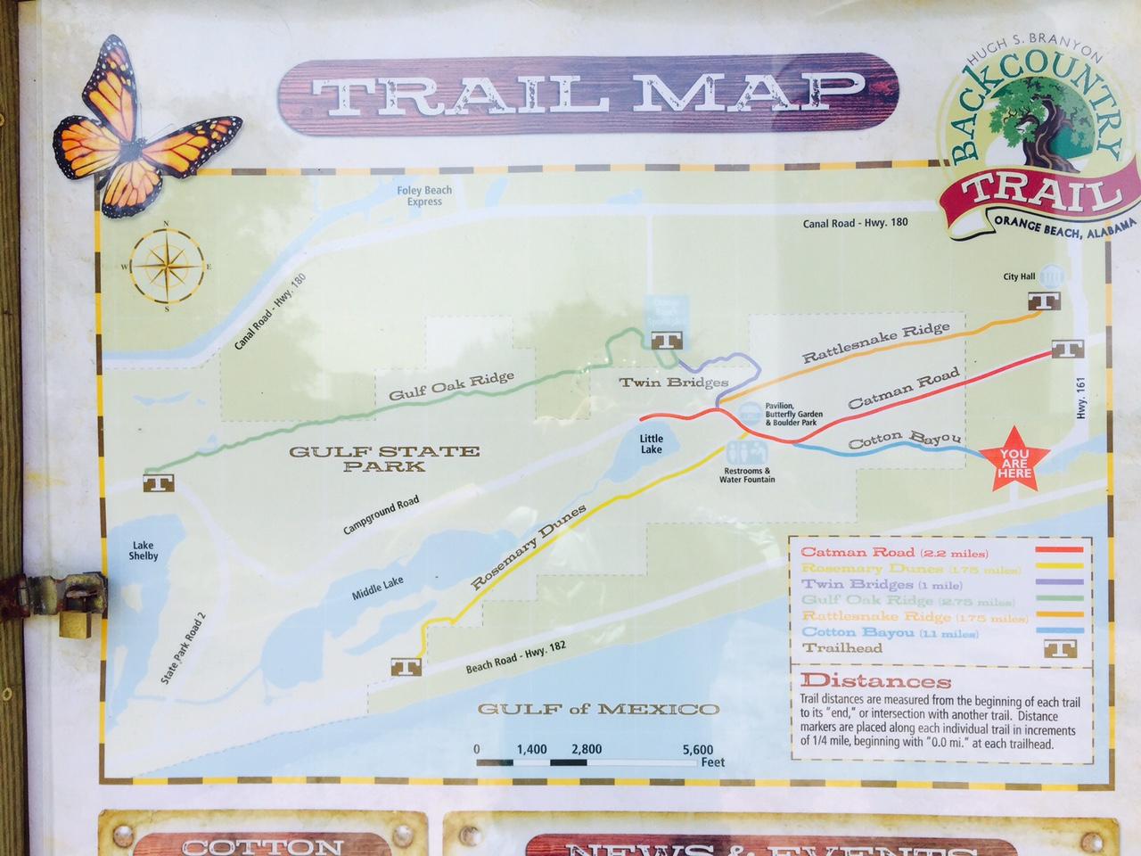 Trail map for the Hugh S. Branyon Backcountry Trail in Gulf State Park, Orange Beach, Alabama. The map includes key features such as the Gulf of Mexico, various lakes, and trail names like Catman Road and Rattlesnake Ridge. It also indicates distances for different sections and shows the location marked as "YOU ARE HERE." A butterfly graphic is featured in the top corner. Cotton Bayou mountain bike trail.