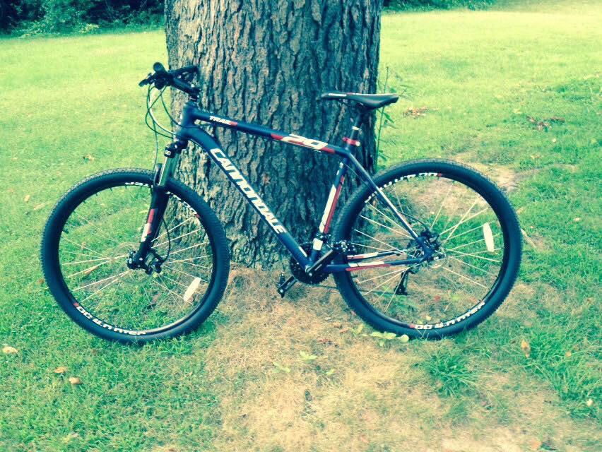 Cannondale Trail 5: A mountain bike resting against a tree in a grassy area. The bike features a dark frame with red and white accents and is equipped with thick tires suitable for off-road riding.