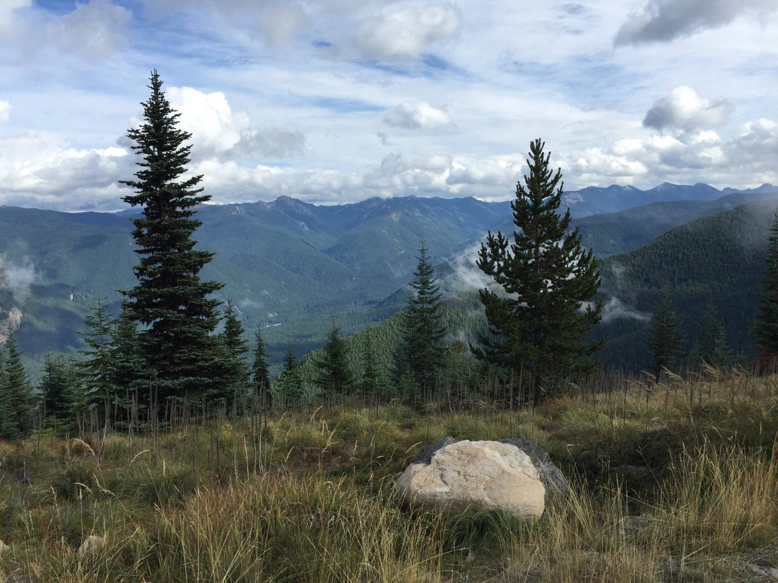 A scenic view of rolling green mountains under a partly cloudy sky, with tall evergreen trees in the foreground and a rocky outcrop. The landscape captures a serene and natural setting, showcasing the beauty of the wilderness. Sun Top mountain bike trail.