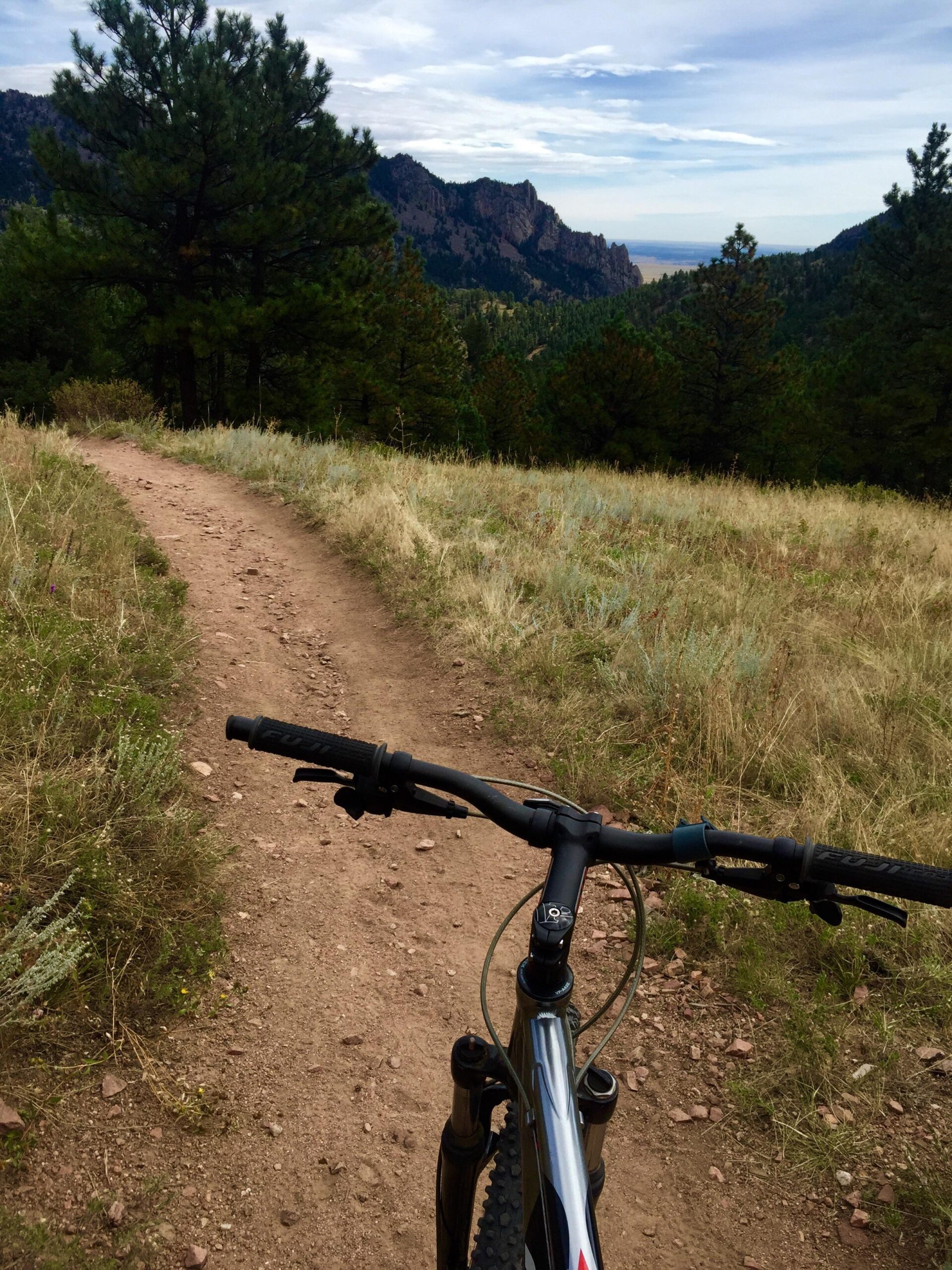 A mountain biker’s view from the handlebars on a dirt trail surrounded by trees, with a backdrop of mountains and a cloudy sky. Walker Ranch mountain bike trail.