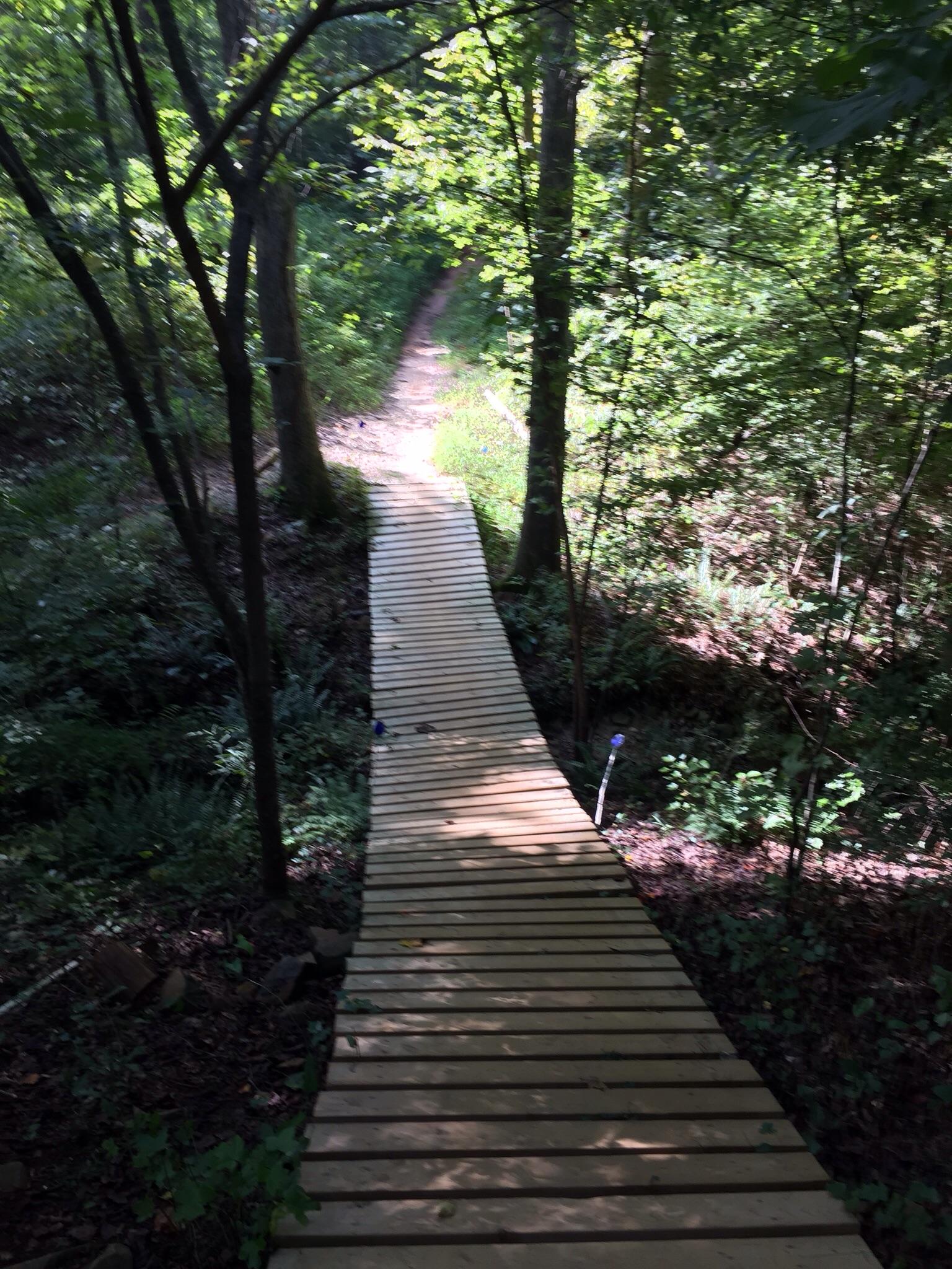 A wooden walkway stretches through a lush green forest, flanked by trees and underbrush. Sunlight filters through the leaves, illuminating the path that leads into the distance, suggesting a serene outdoor trail suitable for hiking or nature walks. Georgia International Horse Park mountain bike trail.