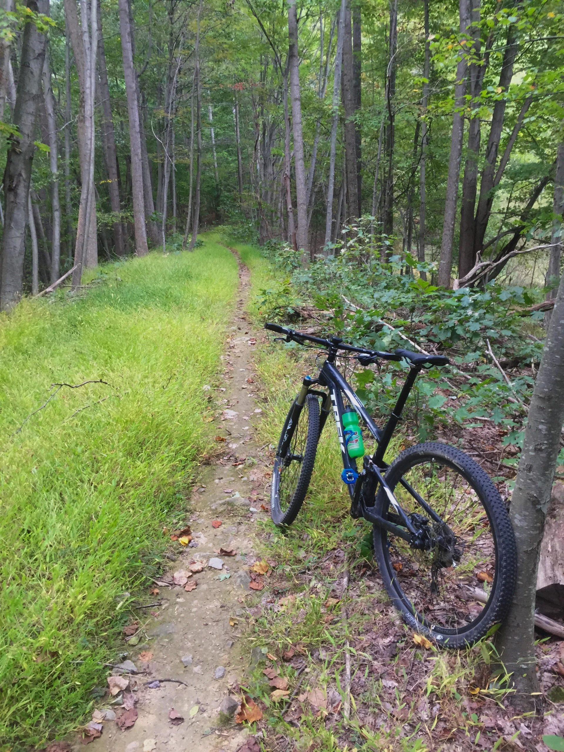 A mountain bike resting on a dirt trail surrounded by tall trees and green underbrush, with patches of grass and fallen leaves along the path. Greenbrier State Park mountain bike trail.