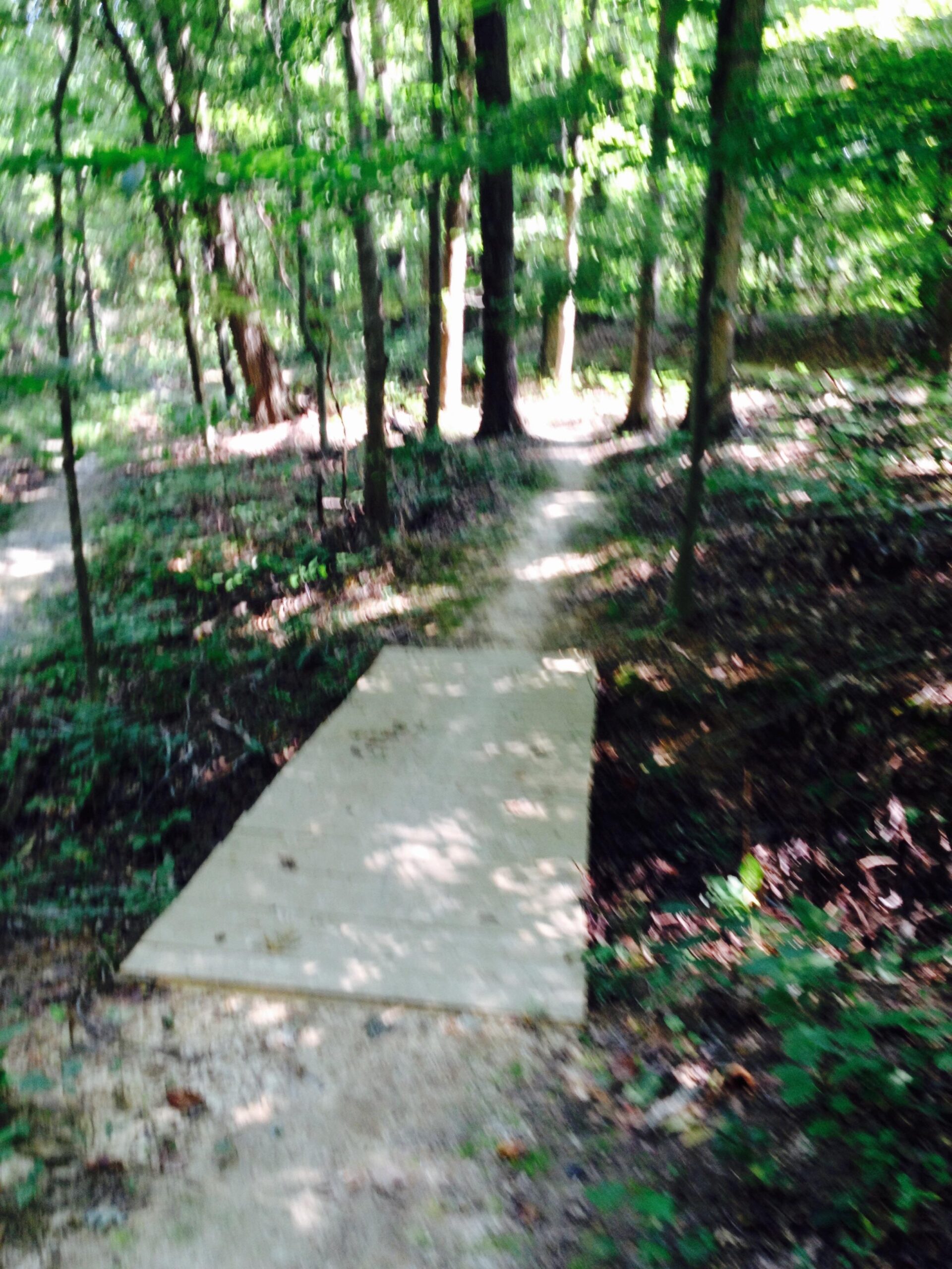 A blurred image of a wooded trail with a small wooden bridge leading over a shallow ditch. Surrounding trees are lush and green, indicating a natural outdoor setting. A dirt path is visible alongside the bridge, suggesting a pathway for hikers or nature enthusiasts. Saunder Springs mountain bike trail.