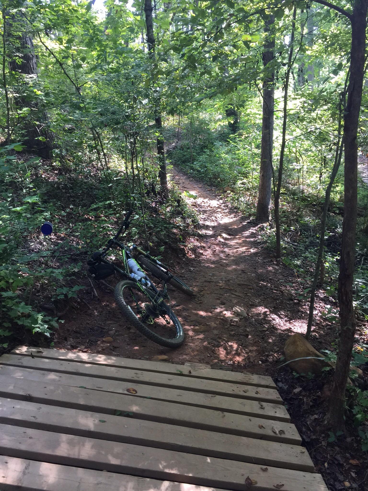 A mountain bike resting on the ground next to a dirt trail surrounded by lush greenery and trees. A wooden bridge is in the foreground, leading to a winding path through the woods. Sunlight filters through the leaves, creating a dappled light effect on the ground. Georgia International Horse Park mountain bike trail.