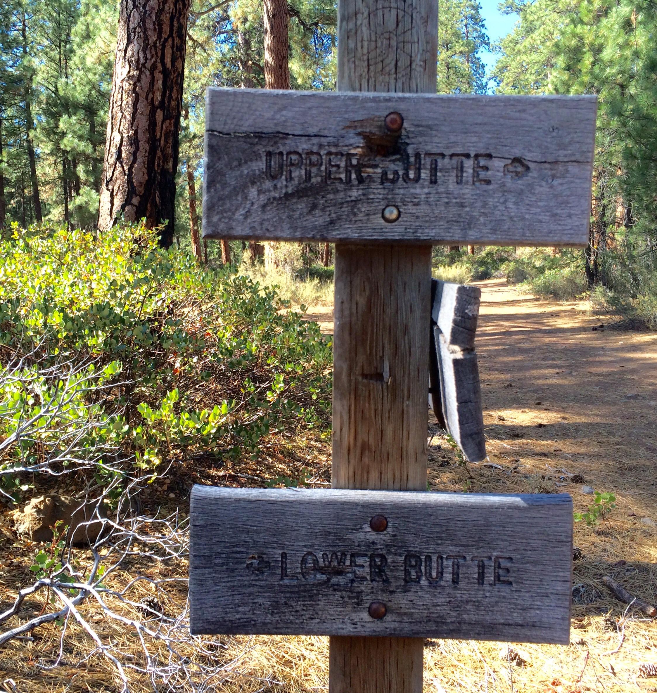 A wooden trail sign indicating "Upper Butte" and "Lower Butte," situated among pine trees and vegetation in a forested area. A dirt path is visible in the background, suggesting a hiking trail. Butte Loops Trail mountain bike trail.