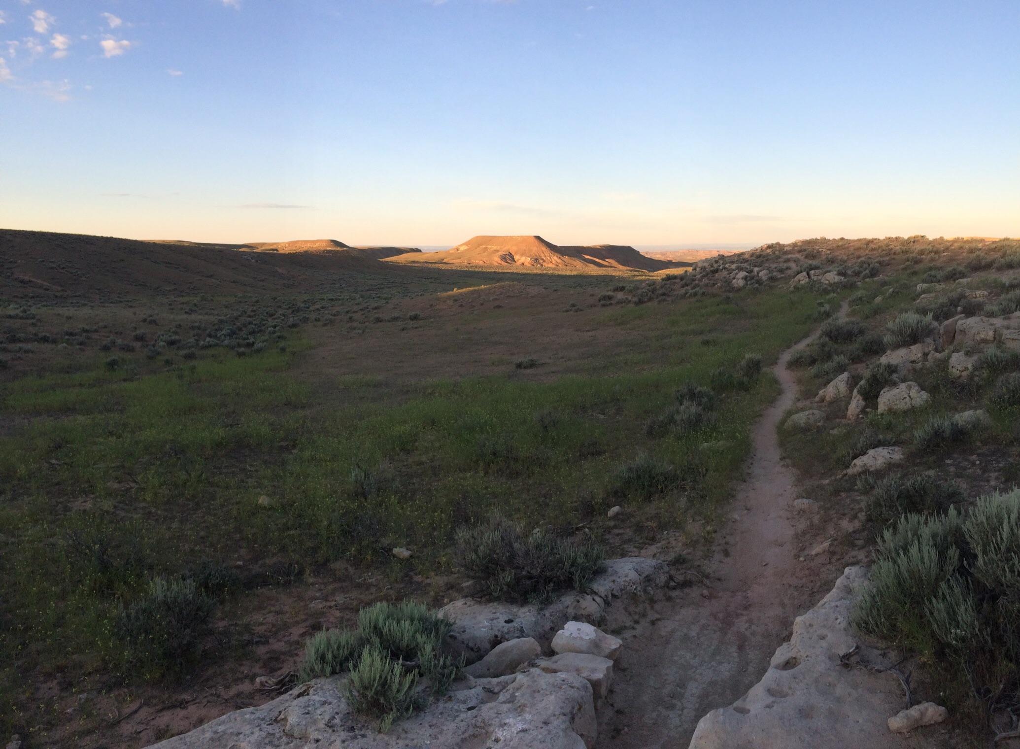 A winding dirt path leading through an open landscape filled with grass and low shrubs, surrounded by rolling hills under a clear sky during sunset. The scene captures the tranquility of nature in a wide, expansive terrain. McCoy Flat Trails mountain bike trail.