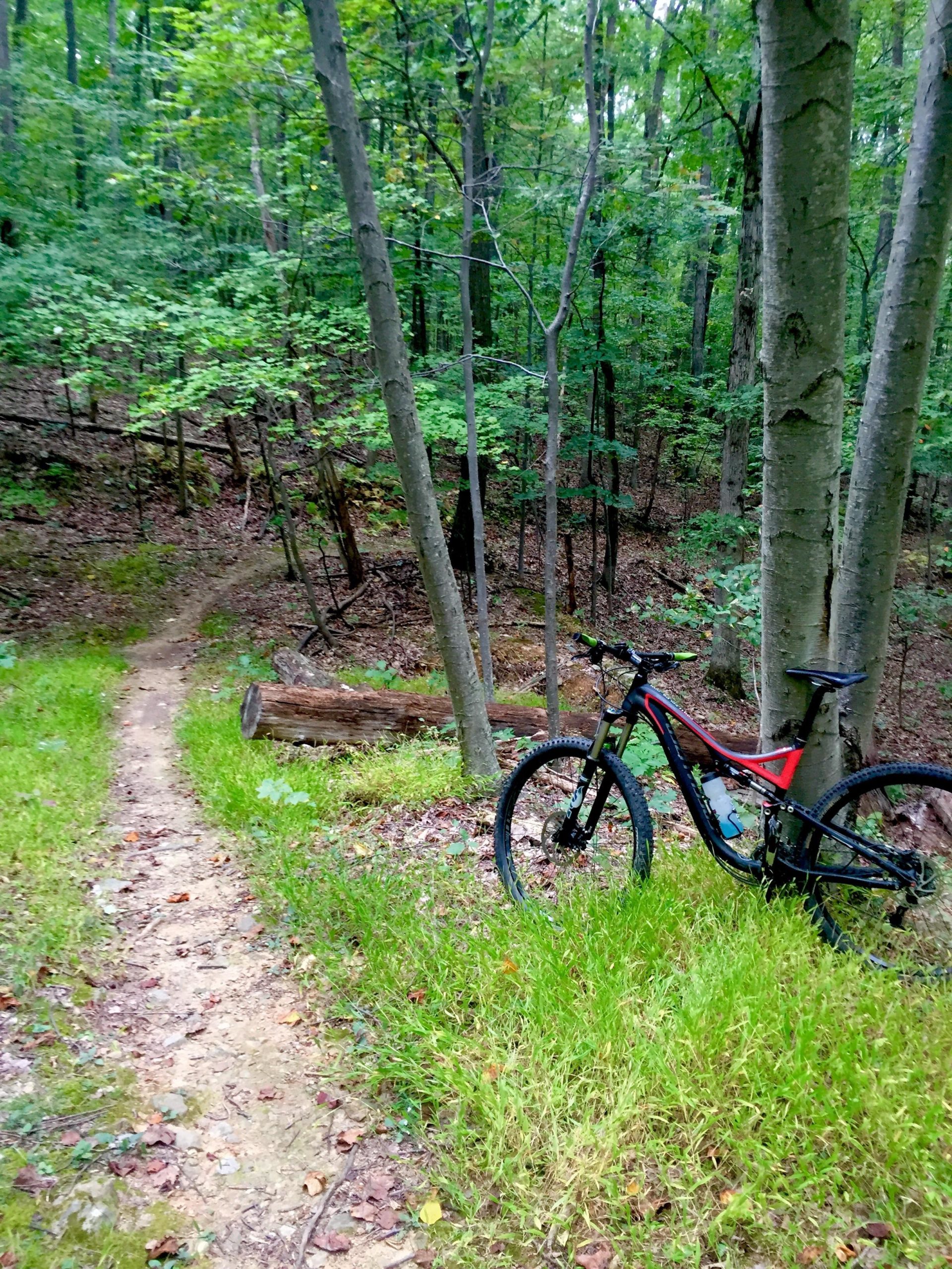 A mountain bike resting on grass beside a dirt trail surrounded by lush green trees in a forested area. Greenbrier State Park mountain bike trail.