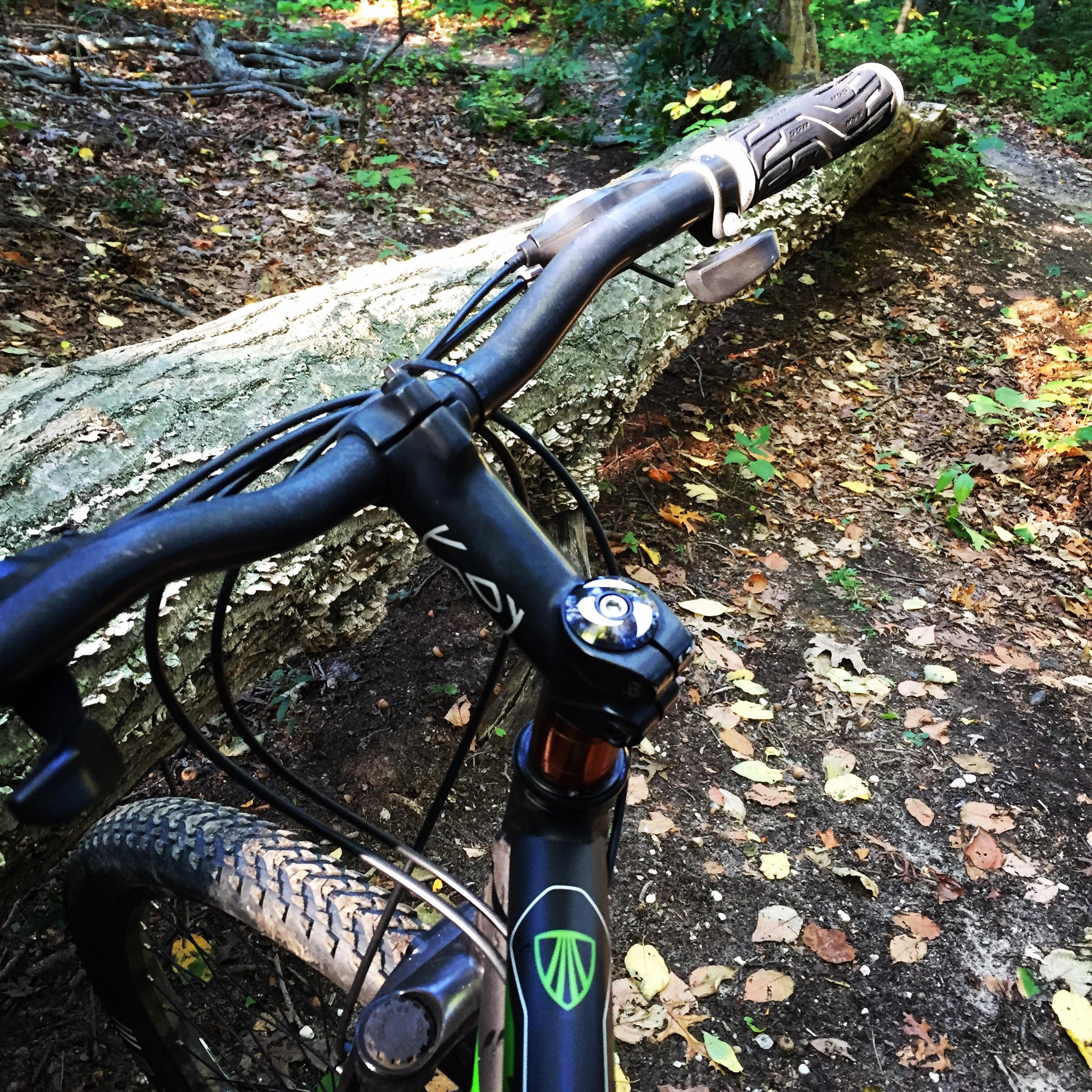 Trek 3500: Mountain bike handlebars in the foreground, with a fallen log and a dirt trail visible in the background, surrounded by colorful autumn leaves.