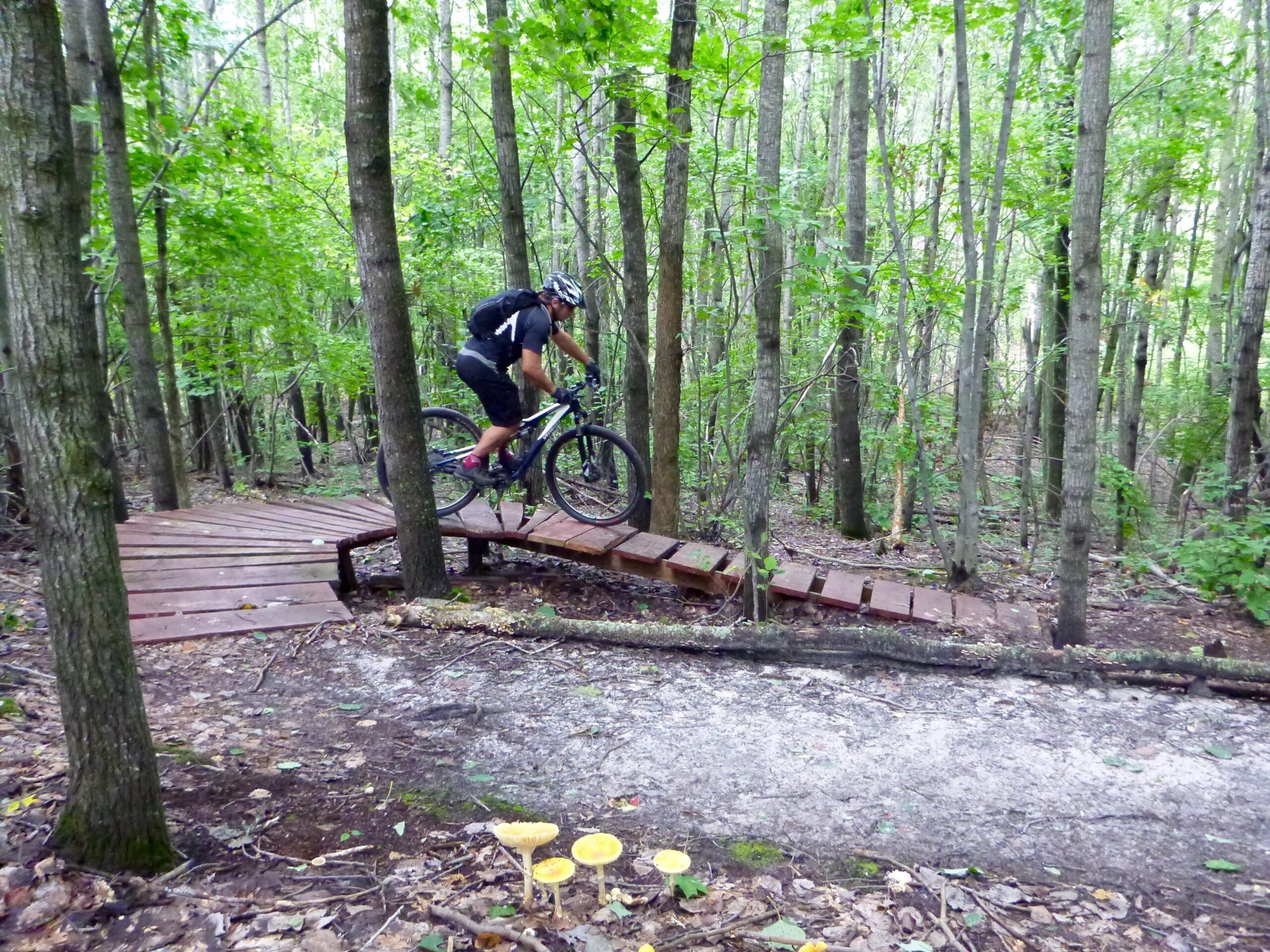 A mountain biker navigates a wooden bridge on a trail surrounded by lush green trees in a forested area. Levis Mounds mountain bike trail.