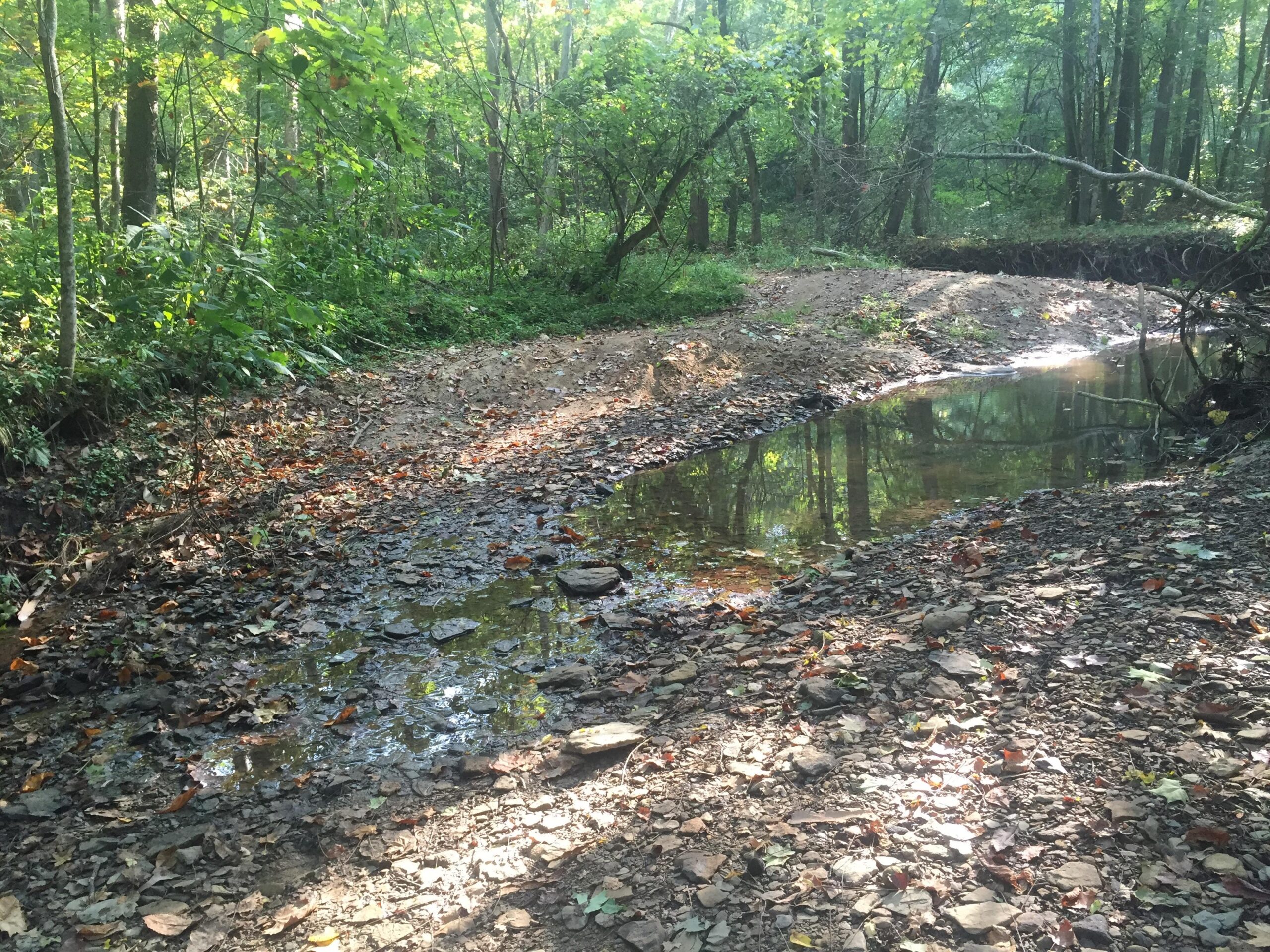 A serene forest scene featuring a shallow stream surrounded by rocks and fallen leaves. Sunlight filters through the trees, illuminating the greenery in the background. The area appears tranquil and natural, with vegetation and reflections in the water adding to the peaceful atmosphere. Strouds Run State Park mountain bike trail.