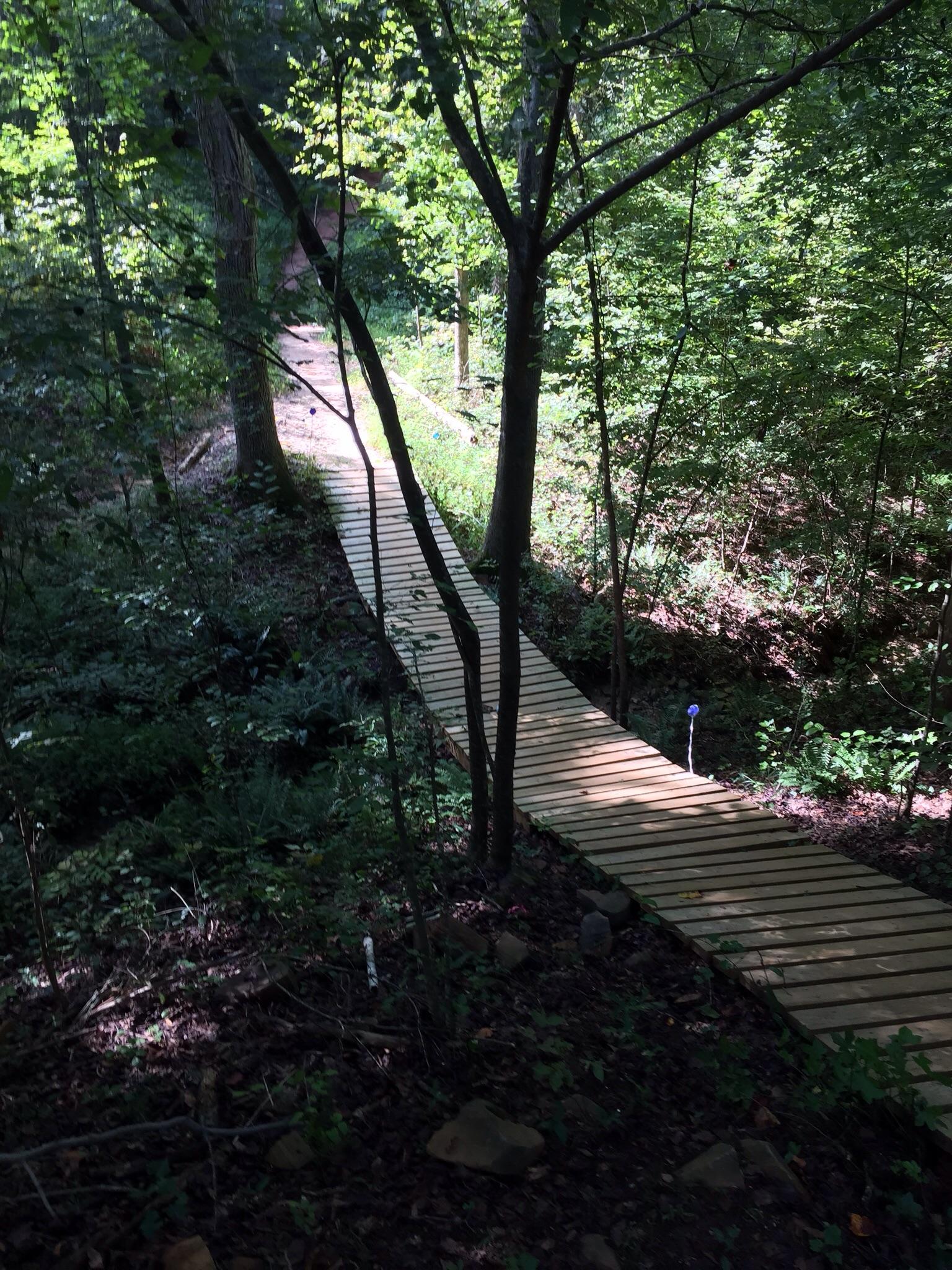 A wooden pathway winding through a lush, green forest, surrounded by trees and undergrowth, with dappled sunlight illuminating parts of the trail. Georgia International Horse Park mountain bike trail.