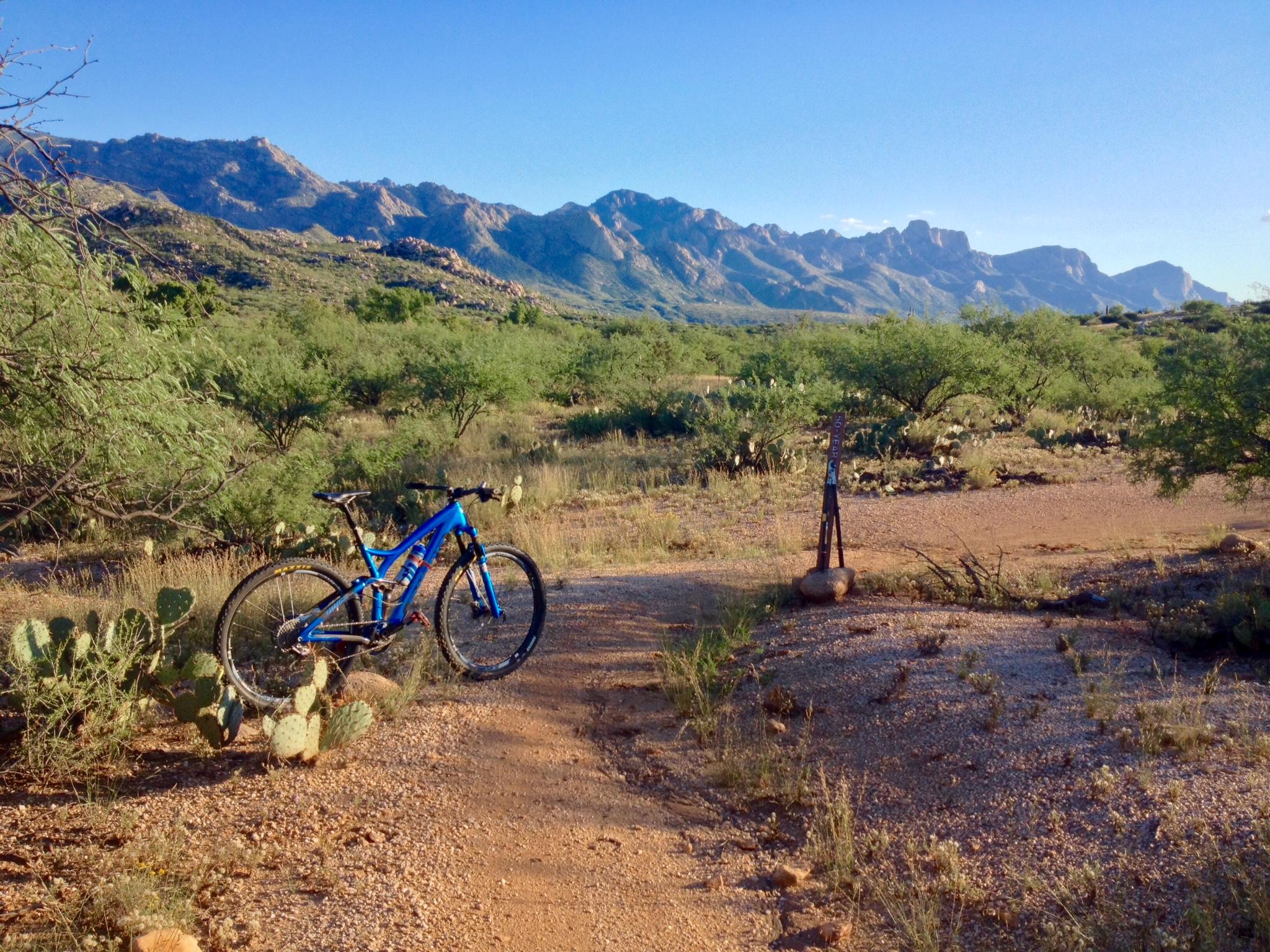 A blue mountain bike parked on a dirt trail surrounded by desert vegetation, with cacti and mountains in the background under clear blue skies. 50-year Trail / Golder Ranch mountain bike trail.