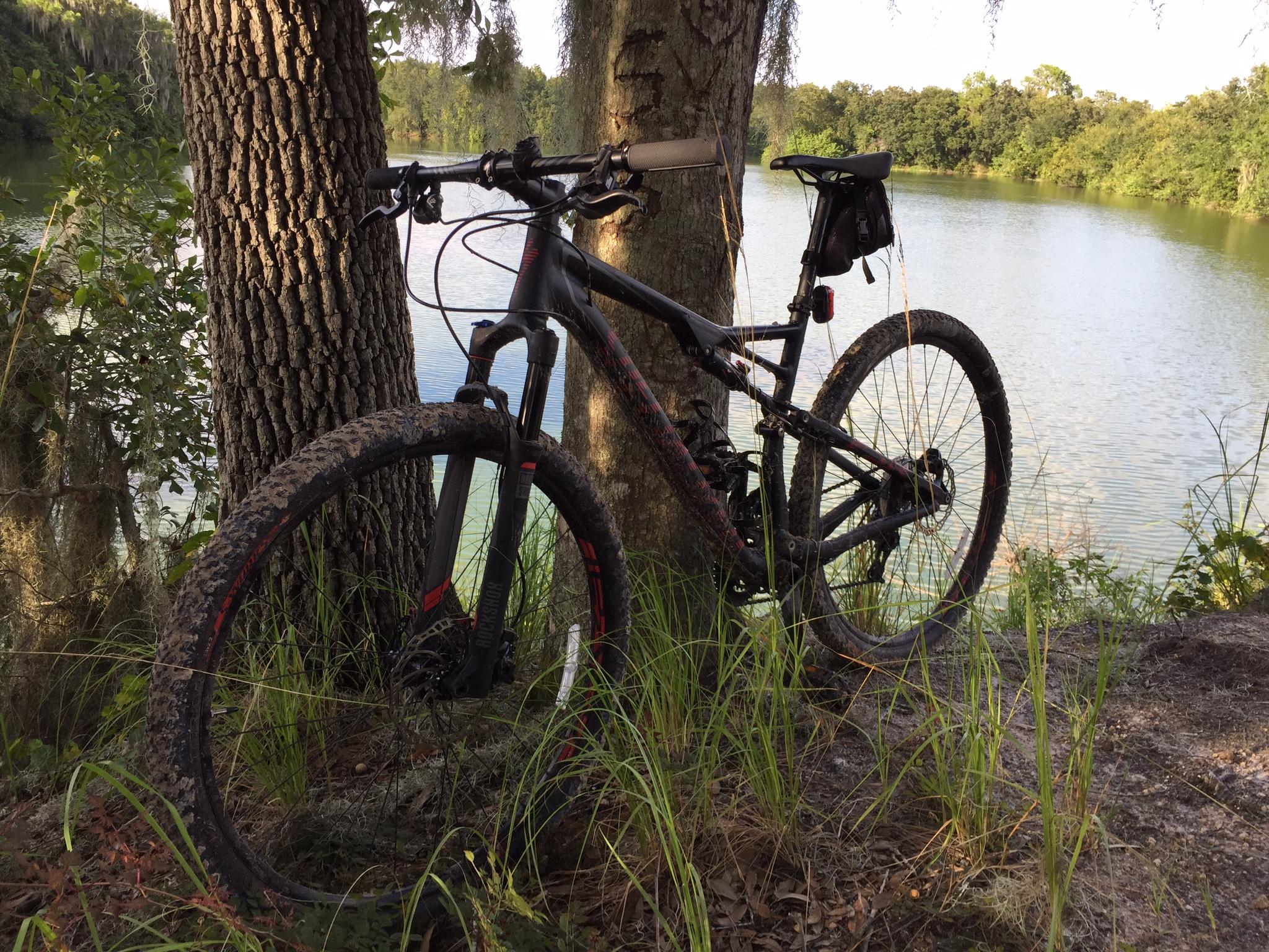 Specialized Epic: Mountain bike resting against a tree near a serene lake, with grass and foliage surrounding it. The bike has muddy tires, indicating recent use on a trail.