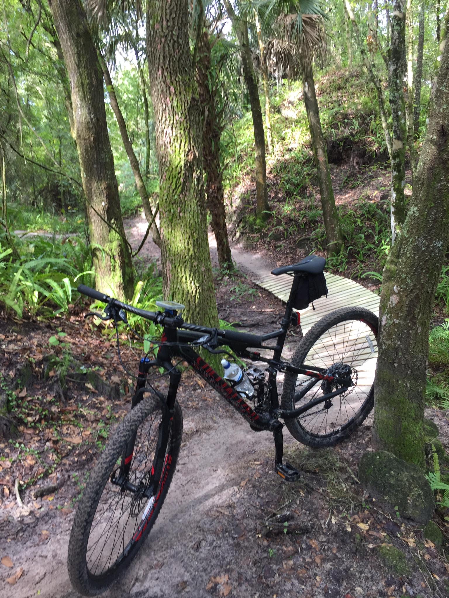 Specialized Epic: A mountain bike resting on a dirt trail surrounded by lush greenery and tall trees, with a wooden bridge visible in the background.