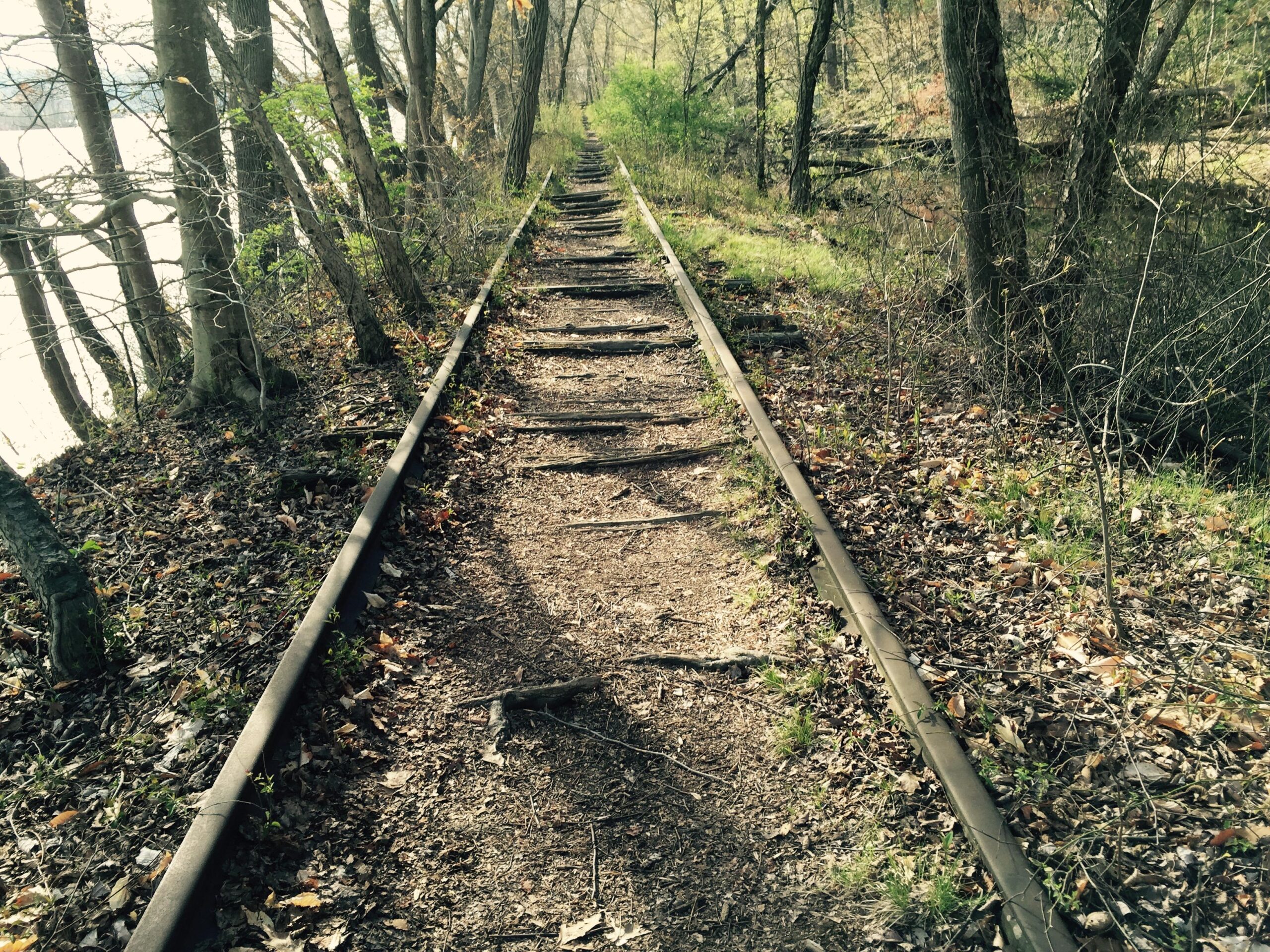 A narrow, unpaved pathway lined with overgrown railway tracks, surrounded by trees and bushes. The scene captures the remnants of a railway, with fallen leaves and scattered twigs along the trail, leading towards a body of water in the background. Sunlight filters through the trees, creating a serene, natural atmosphere. Susquehanna mountain bike trail.