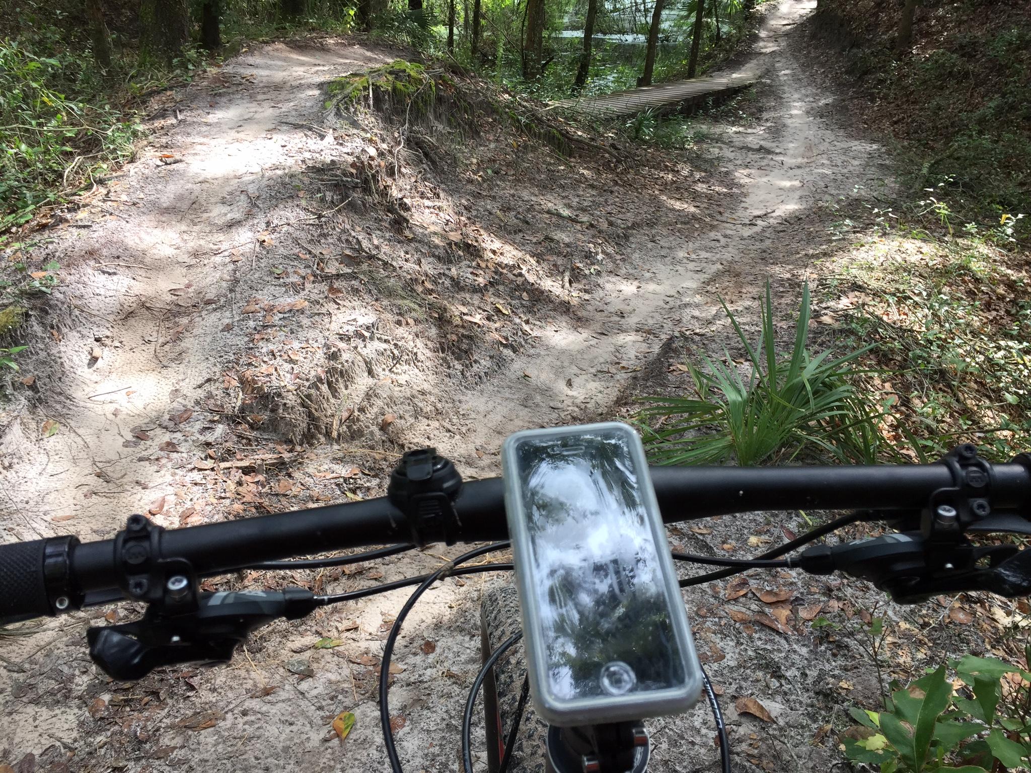 Specialized Epic: A close-up view of a bicycle handlebar with a smartphone mounted on it, showing a dirt bike trail ahead. The trail splits into two paths surrounded by trees and vegetation. The ground is sandy with some fallen leaves, indicating a natural outdoor setting.