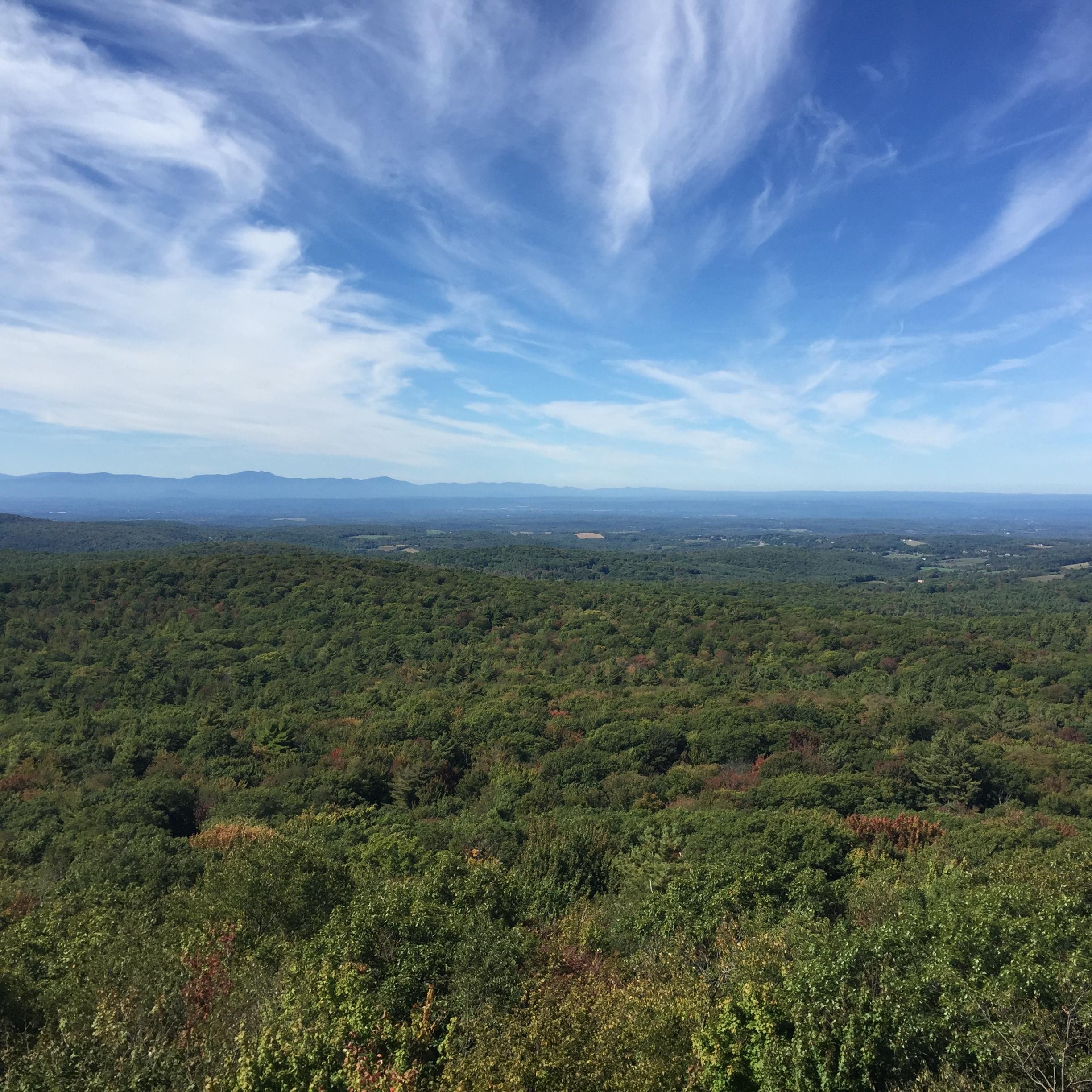 A panoramic view of a lush green forest under a bright blue sky with wispy clouds, stretching out to distant mountains. The landscape is dotted with trees showing hints of autumn colors, creating a vibrant and scenic natural setting. Beebe Hill State Forest mountain bike trail.