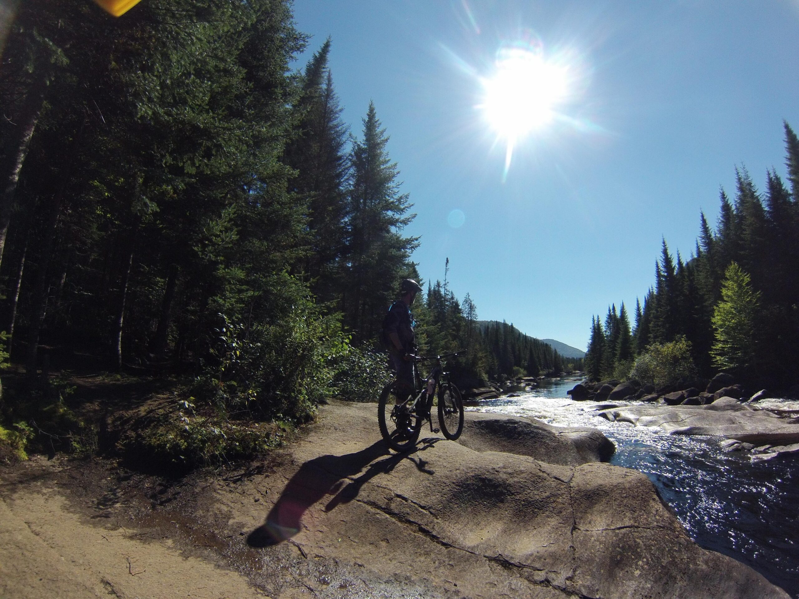 Specialized Stumpjumper FSR Elite: A silhouette of a person standing beside a bike on a rocky riverbank, surrounded by tall pine trees and bright sunlight in a clear blue sky. The water flows gently in the background, creating a serene natural setting.
