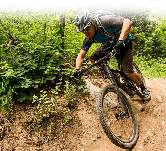 A mountain biker expertly navigates a dirt trail, leaning into a curve surrounded by greenery. He wears a helmet and a blue jersey, demonstrating skill as he rides over rocky terrain.