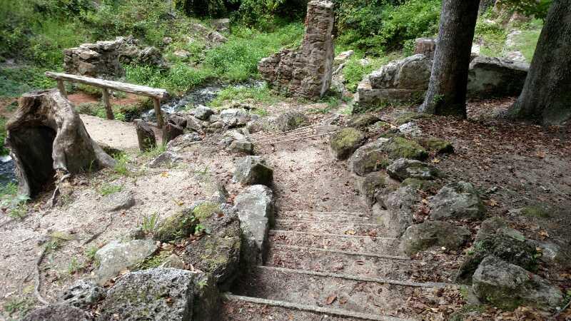 A narrow, rocky staircase leads down through a forested area, surrounded by greenery and remnants of stone walls. The scene captures a sense of nature reclaiming an old structure, with tree trunks and scattered rocks in the foreground and overgrown foliage in the background. Coquina mountain bike trail.
