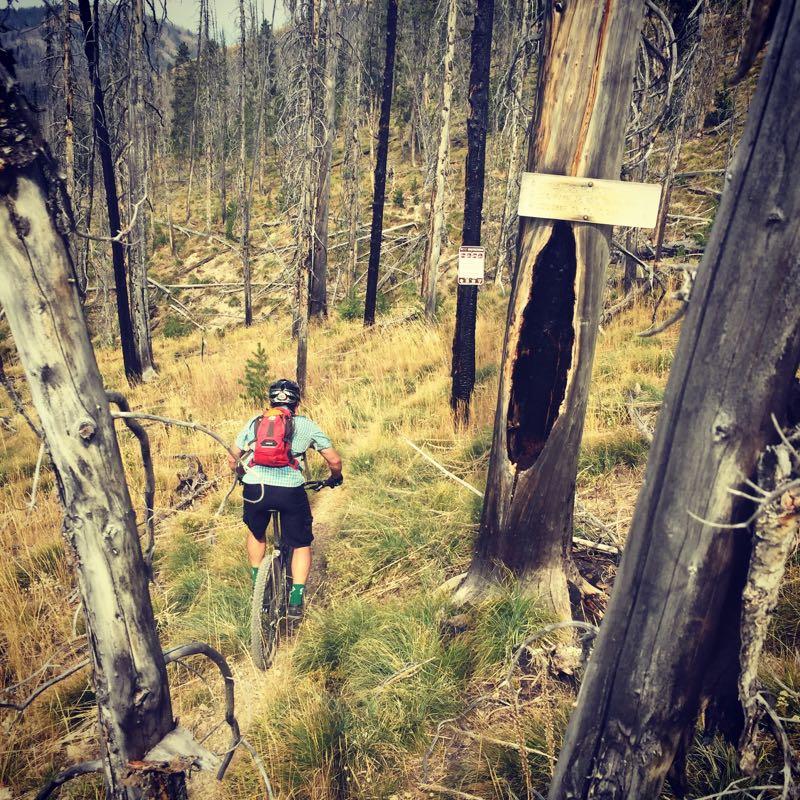 A person riding a mountain bike along a narrow trail in a forested area. The landscape features tall, dead trees, likely a result of a wildfire, with patches of grass and underbrush. A signpost is visible in the background, partially obscured by trees. Warm Springs Trail System mountain bike trail.