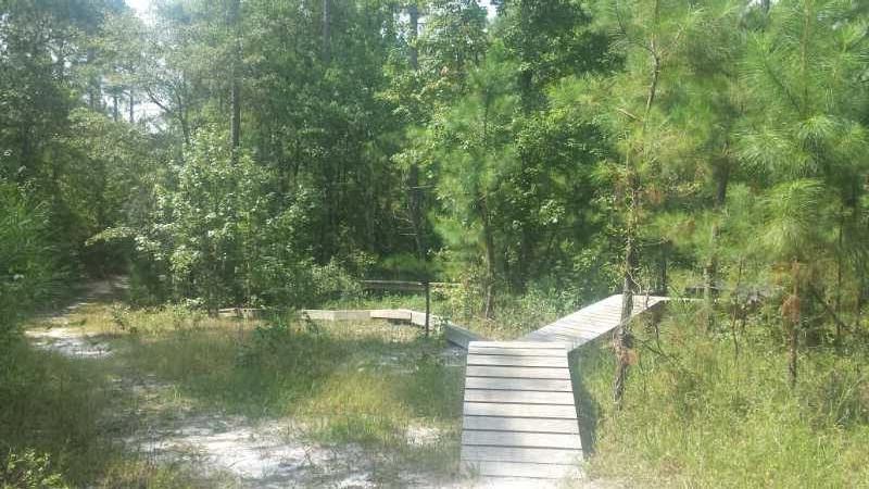 A winding wooden boardwalk surrounded by lush green trees and dense underbrush, leading through a natural landscape. The boardwalk is set against a backdrop of various plants, with patches of sunlight filtering through the leaves. Brunswick Nature Park mountain bike trail.