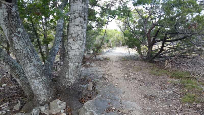 A rocky trail winding through a natural landscape, flanked by large trees and shrubs, leading into a slightly opened area in the distance. Madrone Trail mountain bike trail.