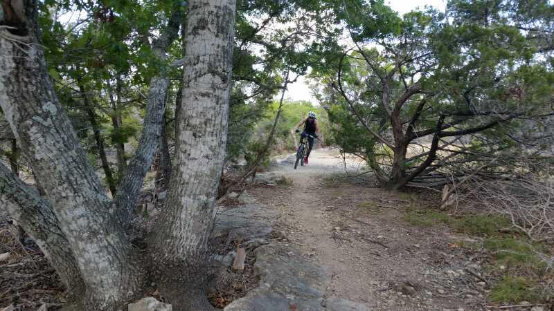 A mountain biker navigating a trail surrounded by trees and rocks, with the rider airborne as they jump over a section of the path. Madrone Trail mountain bike trail.