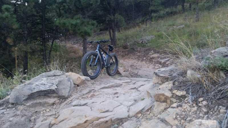 Mountain bike resting on a rocky trail surrounded by trees and grass. The path is uneven and natural, indicating a rugged outdoor environment. HLMP mountain bike trail.