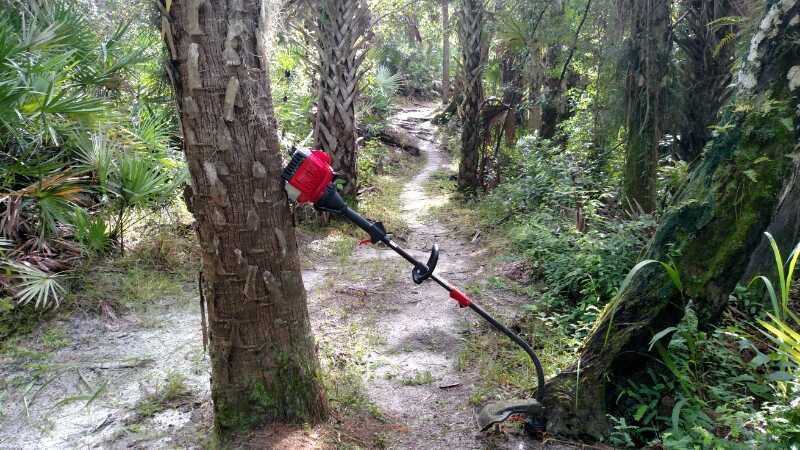 A landscape view of a forested path with lush greenery, featuring a red string trimmer leaning against a tree. The trail winds through the vegetation, surrounded by palm trees and underbrush. Sunlight filters through the foliage, illuminating the scene. Fort Pierce Mountain Bike Trail mountain bike trail.