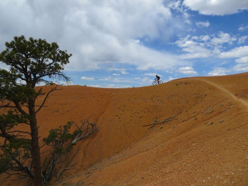 A mountain biker navigates a steep, orange terrain under a partly cloudy sky, with a pine tree visible in the foreground. The scene captures the adventurous spirit of outdoor cycling in a unique landscape. Thunder Mountain mountain bike trail.