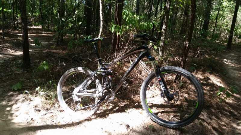A mountain bike leaning against a tree in a wooded area, with sunlight filtering through the leaves. The background features a dirt path winding through the trees, surrounded by greenery and pine needles on the ground. Lakeshore MTB Singletrack mountain bike trail.