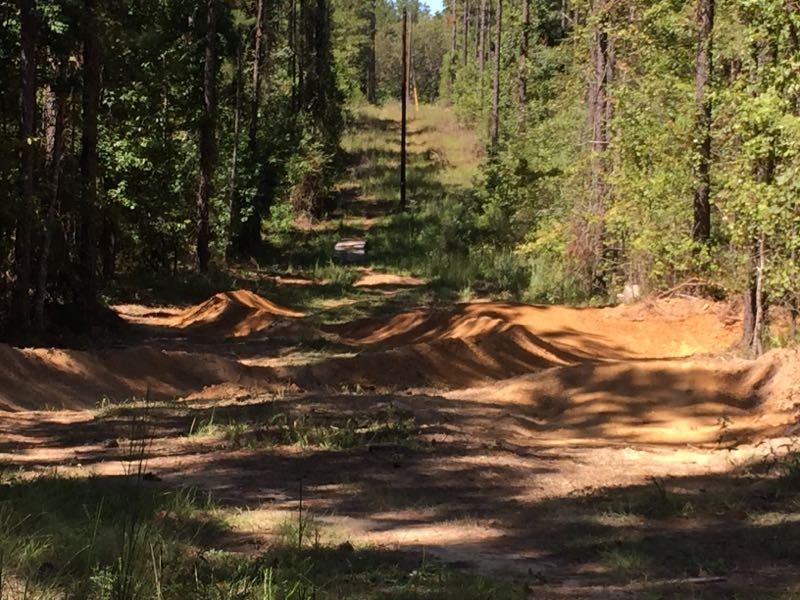 A dirt bike track winding through a wooded area, featuring sandy mounds and jumps. Tall trees line either side of the path, which leads towards a distant slope under a clear blue sky. Mt. Zion Bike Trails mountain bike trail.
