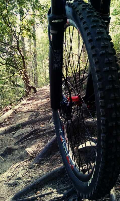 Close-up view of a mountain bike tire on a rugged dirt trail surrounded by trees. The trail is uneven with rocks and exposed tree roots, suggesting a natural setting for outdoor biking adventures. Rocky River Trail mountain bike trail.