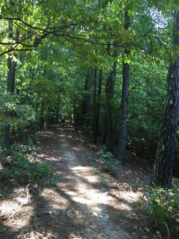 A narrow dirt trail winding through a lush green forest, surrounded by tall trees and dense foliage. Soft sunlight filters through the leaves, casting dappled shadows on the ground. In the distance, a lone person is walking along the trail, adding a sense of scale to the serene natural setting. Red Baron mountain bike trail.