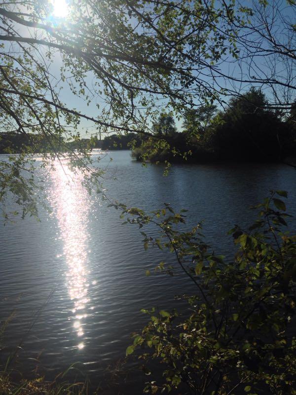A serene view of a calm lake reflecting the sunlight, framed by greenery and trees in the foreground. The sunlight creates a sparkling pathway on the water