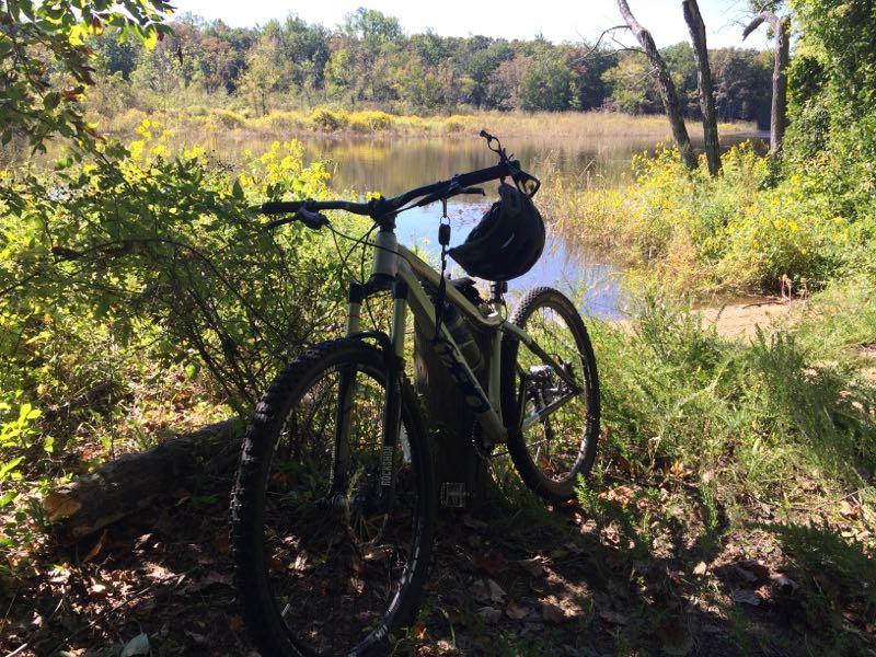 A mountain bike with a helmet rests against a wooden post, overlooking a serene lake surrounded by trees and wildflowers, under bright sunlight. Rancocas State Park - Westampton mountain bike trail.