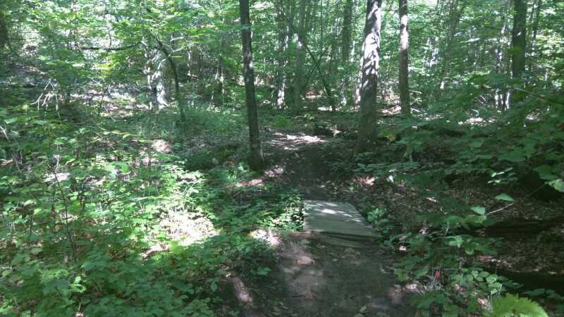 A wooded pathway winding through a lush forest, featuring a small wooden bridge over a shallow area. Sunlight filters through the trees, casting dappled shadows on the ground, surrounded by green foliage and underbrush. Luther Forest mountain bike trail.