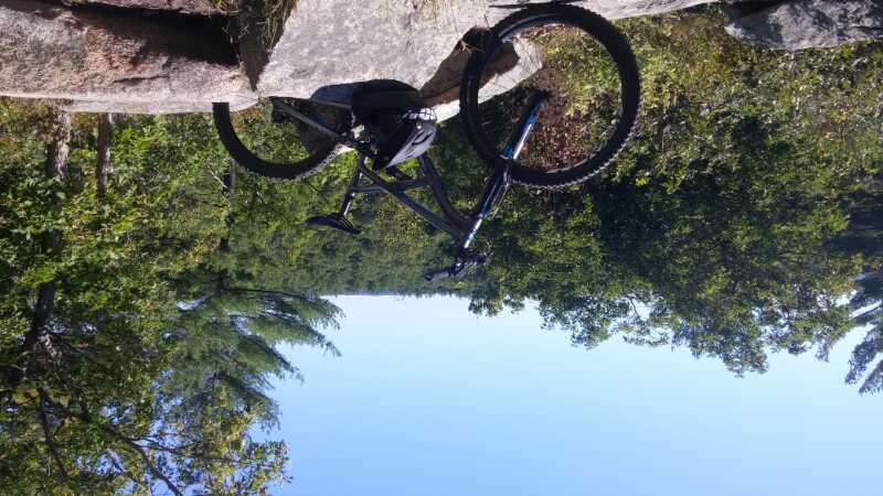 A mountain bike resting on large rocks, surrounded by greenery and trees under a clear blue sky. Peppercorn Hill mountain bike trail.