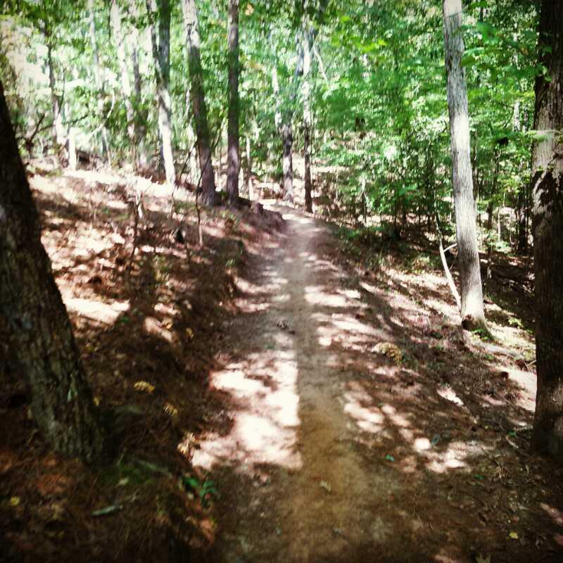 A narrow dirt trail winding through a lush green forest, lined by trees with dense foliage and scattered sunlight filtering through the leaves. The path is slightly uneven, with patches of brown earth and bits of fallen leaves along the sides. Oak Mountain State Park Bump Trail mountain bike trail.