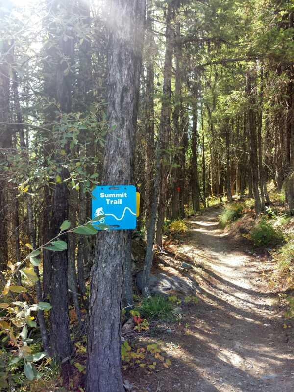 A blue sign labeled "Summit Trail" is affixed to a tree along a winding dirt path surrounded by tall trees and lush greenery. Sunlight filters through the leaves, creating a serene hiking atmosphere. Whitefish Mountain Resort mountain bike trail.