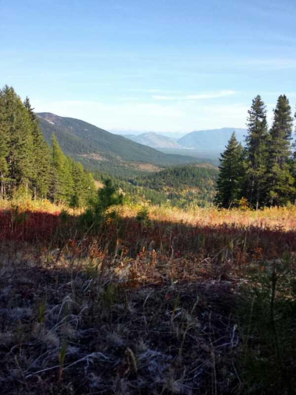A panoramic view of a mountainous landscape featuring lush green forests and grassy meadows in warm autumn tones. In the foreground, tall grass and wildflowers in shades of yellow and red contrast with the dense coniferous trees on either side. The background showcases rolling mountains under a clear blue sky, creating a serene and picturesque natural scene. Summit Mountain Bike Trail #810 mountain bike trail.