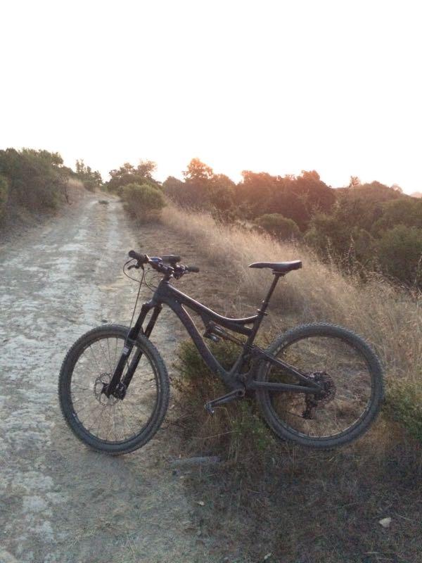 A mountain bike resting on a dirt path surrounded by tall grass and shrubs, with a soft sunset illuminating the scene in the background. China Camp mountain bike trail.