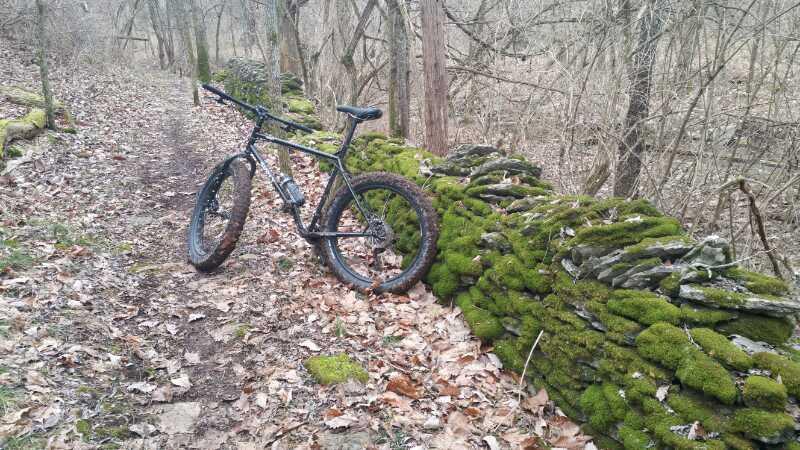 A black mountain bike rests against a moss-covered stone wall along a wooded trail, surrounded by fallen leaves and bare trees. The path is dirt and flanked by greenery, suggesting a serene outdoor setting. Knucklehead mountain bike trail.
