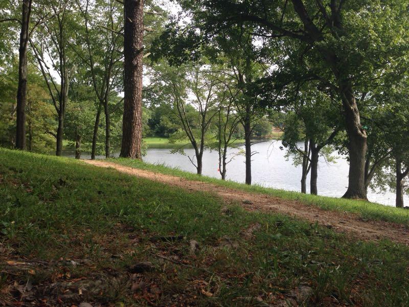 A peaceful view of a grassy path leading towards a tranquil lake, surrounded by tall trees and lush greenery. The scene captures nature's serenity, with the water reflecting the surrounding landscape. Lake Fairfax mountain bike trail.