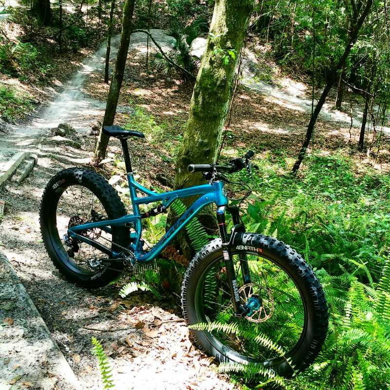 A blue mountain bike parked beside a tree along a dirt trail in a lush, green forest. Ferns and foliage surround the bike, and a winding path can be seen in the background. Alafia River State Park mountain bike trail.