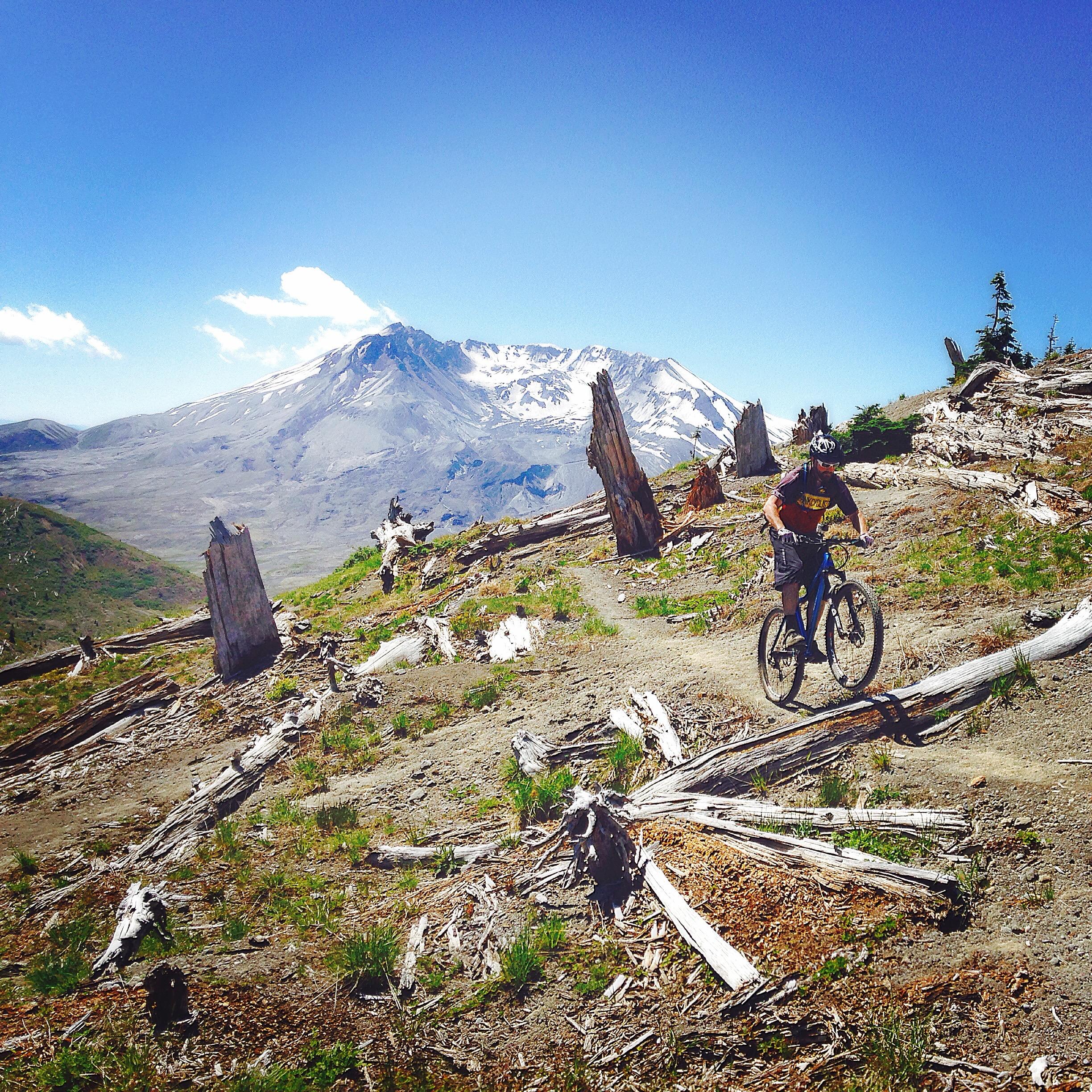 Canfield Brothers Yelli Screamy: A mountain biker rides along a dirt trail through a rugged landscape with scattered logs, set against a backdrop of a snow-capped mountain under a clear blue sky.