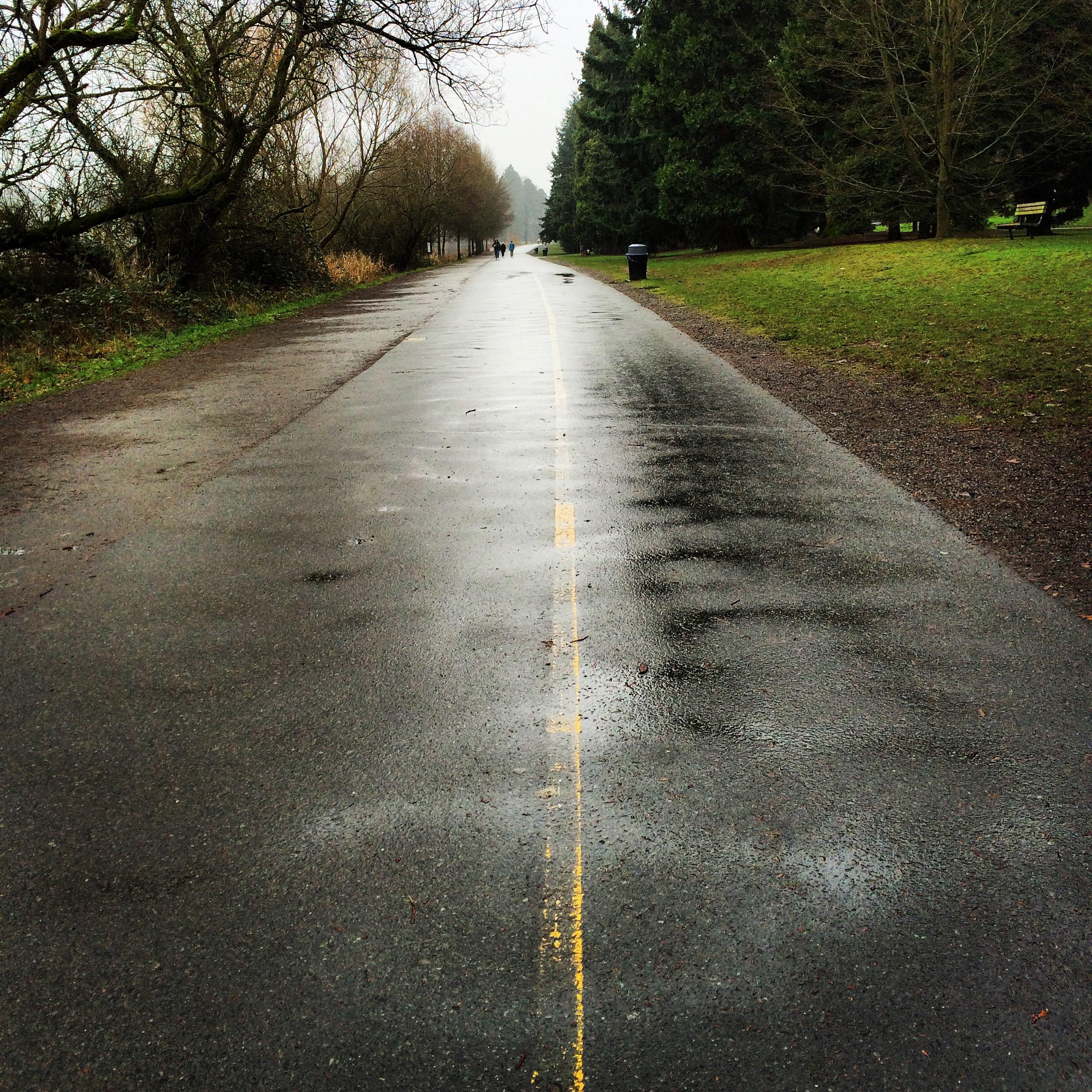 A winding, rainy pathway in a park, with a faint yellow line marking the center. The wet pavement reflects the overcast sky, and trees line the sides. In the distance, a few people can be seen walking along the trail, with a trash bin visible on the right side of the image. Greenlake mountain bike trail.