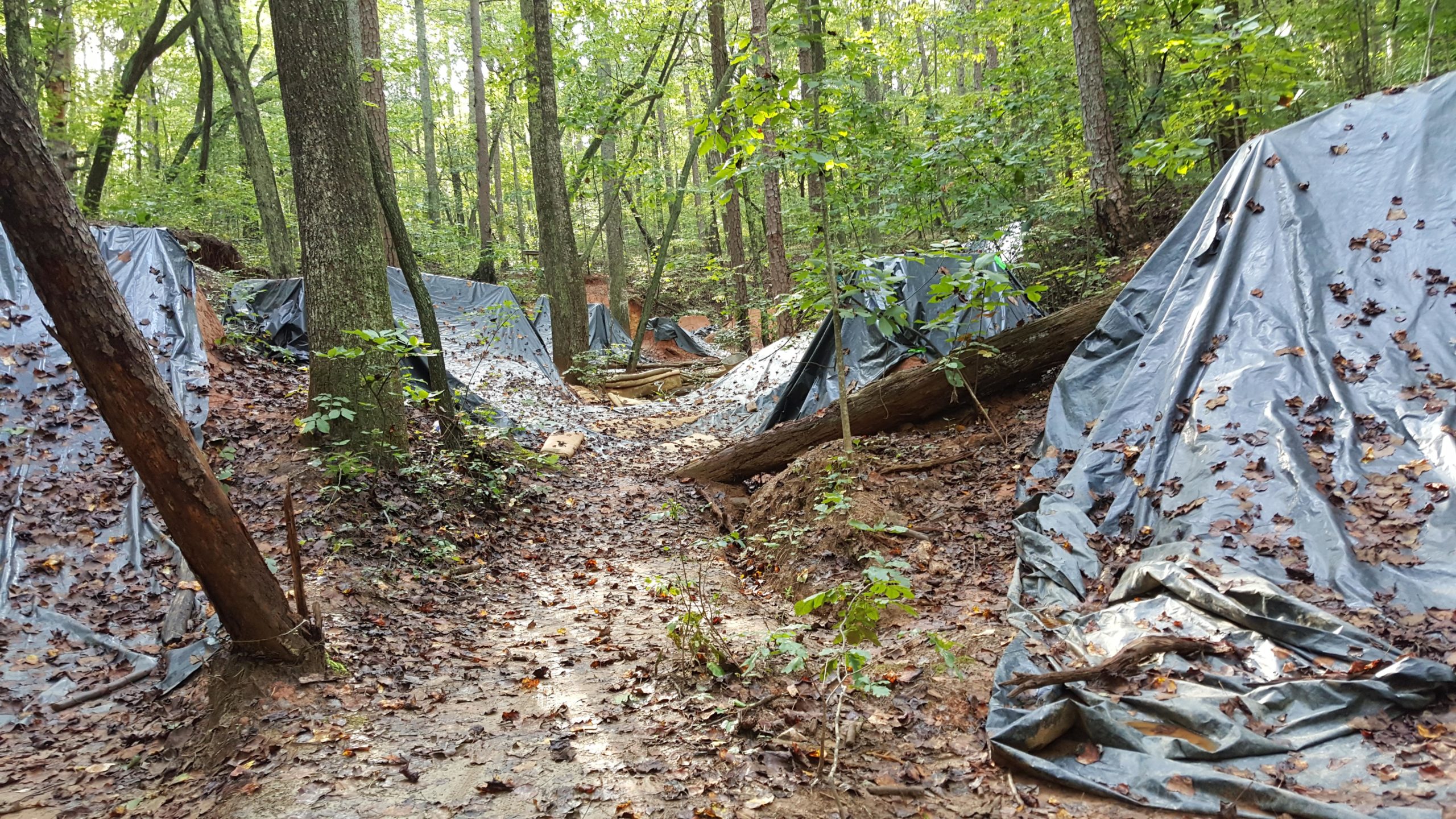 A narrow dirt path winds through a forested area, flanked by large black tarps covering what appear to be excavated earth or structures. Leaves are scattered on the ground and tarps, and tall trees surround the scene, creating a natural, shaded environment. Salem Lake mountain bike trail.