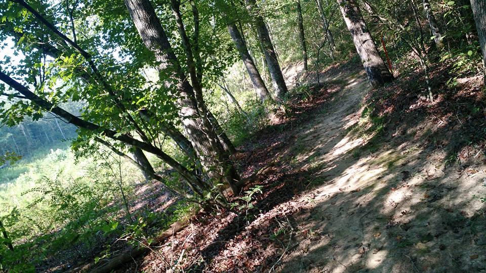 A dirt path winding through a wooded area, surrounded by tall trees and lush green foliage. Sunlight filters through the leaves, casting dappled shadows on the ground. Duck River mountain bike trail.